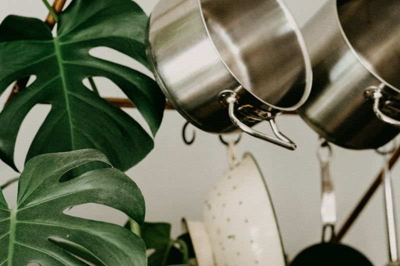 Stainless steel pots hanging beside a houseplant