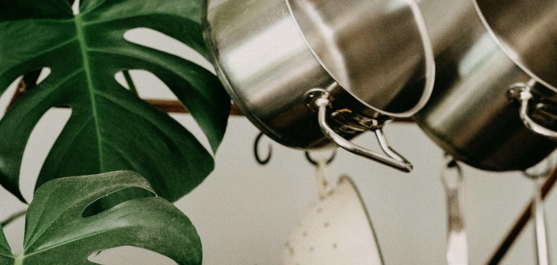 Stainless steel pots hanging in a kitchen beside a monstera plant