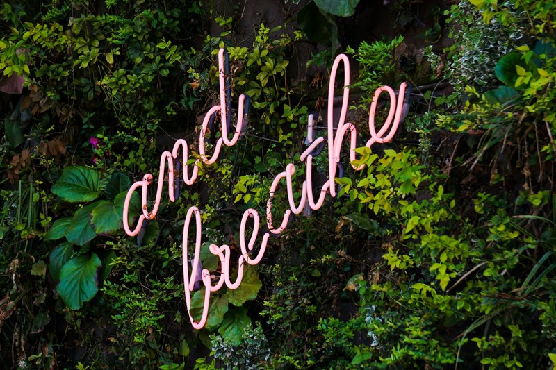 Neon sign reading 'and breathe' on a wall of plants